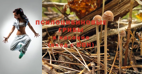 скорость Корсаков