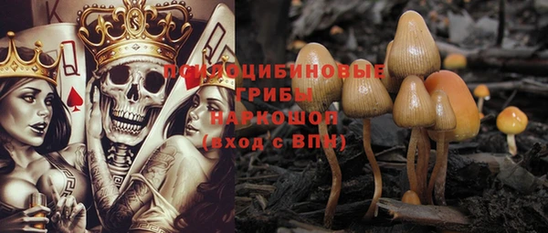 скорость Корсаков