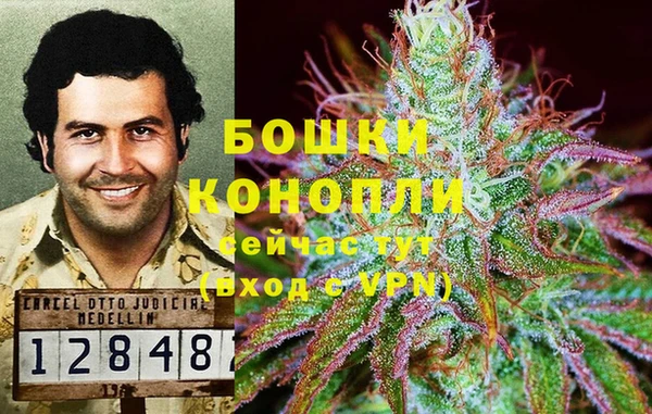 гидропоника Костерёво